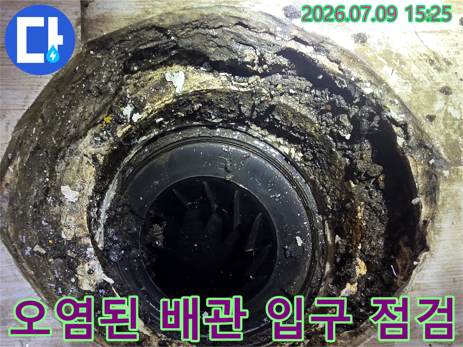 이물질과 곰팡이가 섞여 있는 노후 배수구의 상세 모습