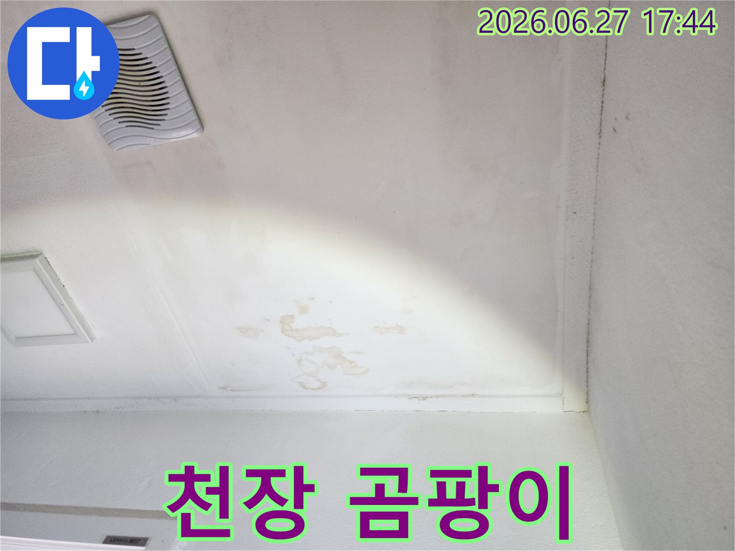 천장-누수로-인한-물자국과-곰팡이-발생-현장-사진