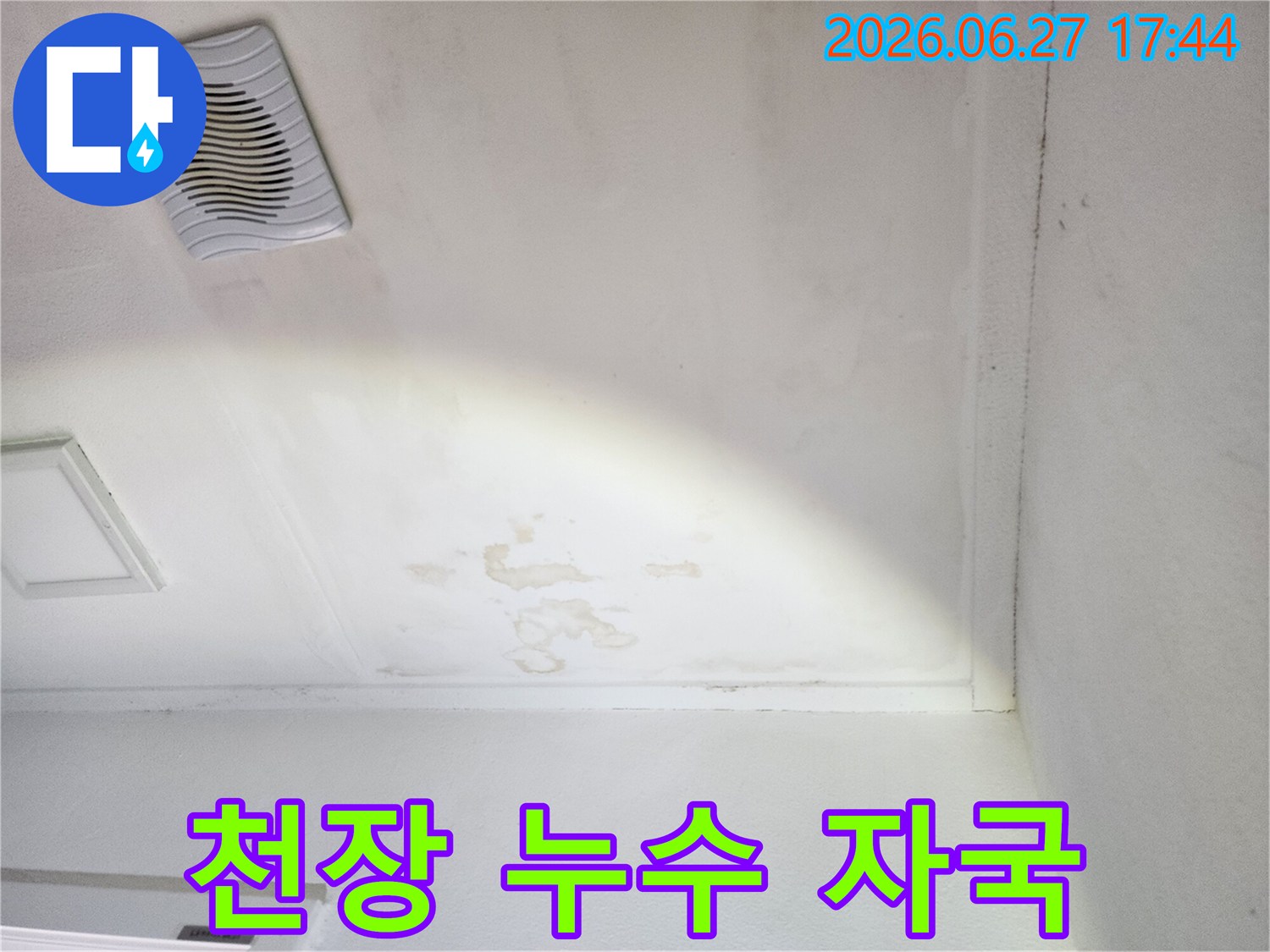 천장-표면에-선명하게-드러난-누수-자국과-습기-침투-현장
