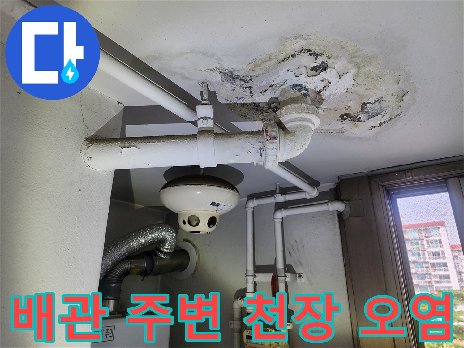 세탁실 배관 하부-젖은 콘크리트와 부풀어 오른 페인트층