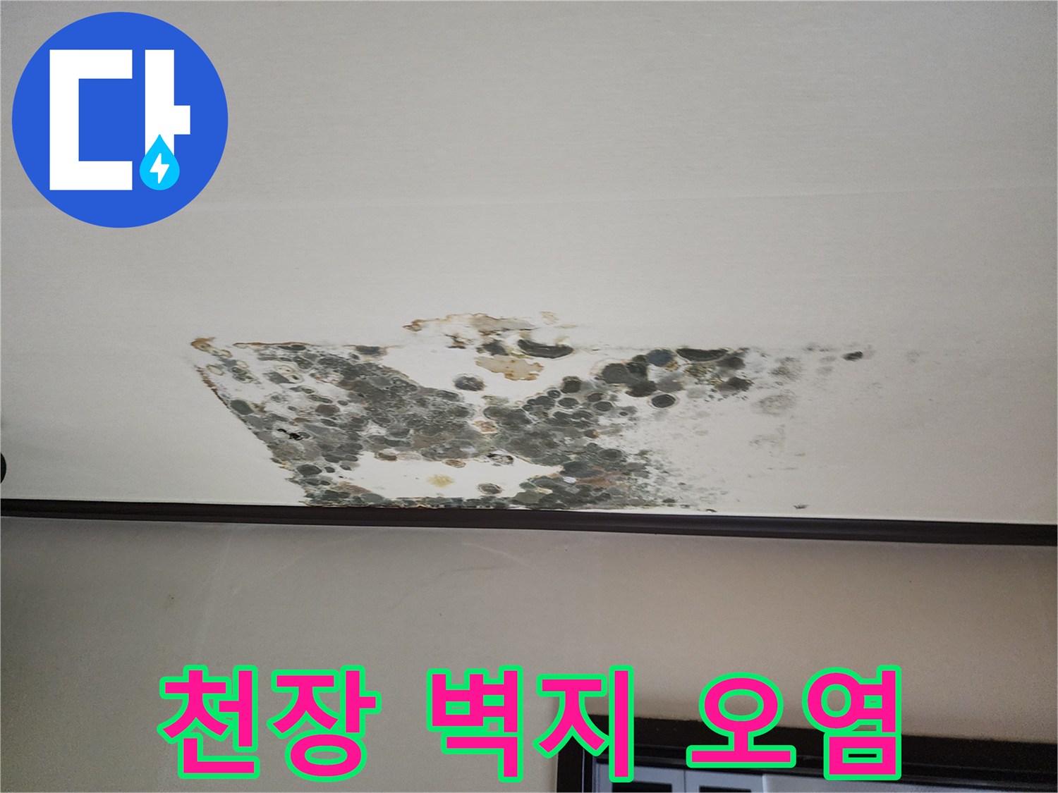 물샘으로 인해-변색된 천장 벽지 및 곰팡이 상태