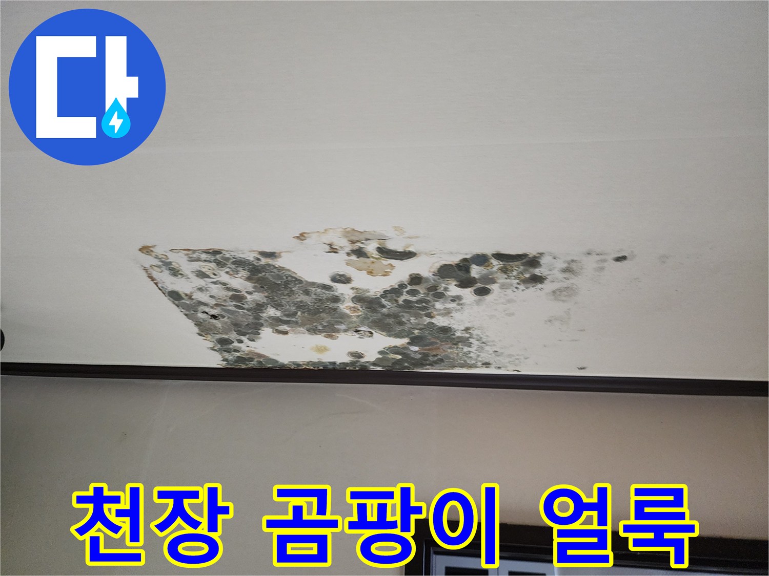 아랫층 작은방-천장 벽지 곰팡이와 물샘 흔적 사진