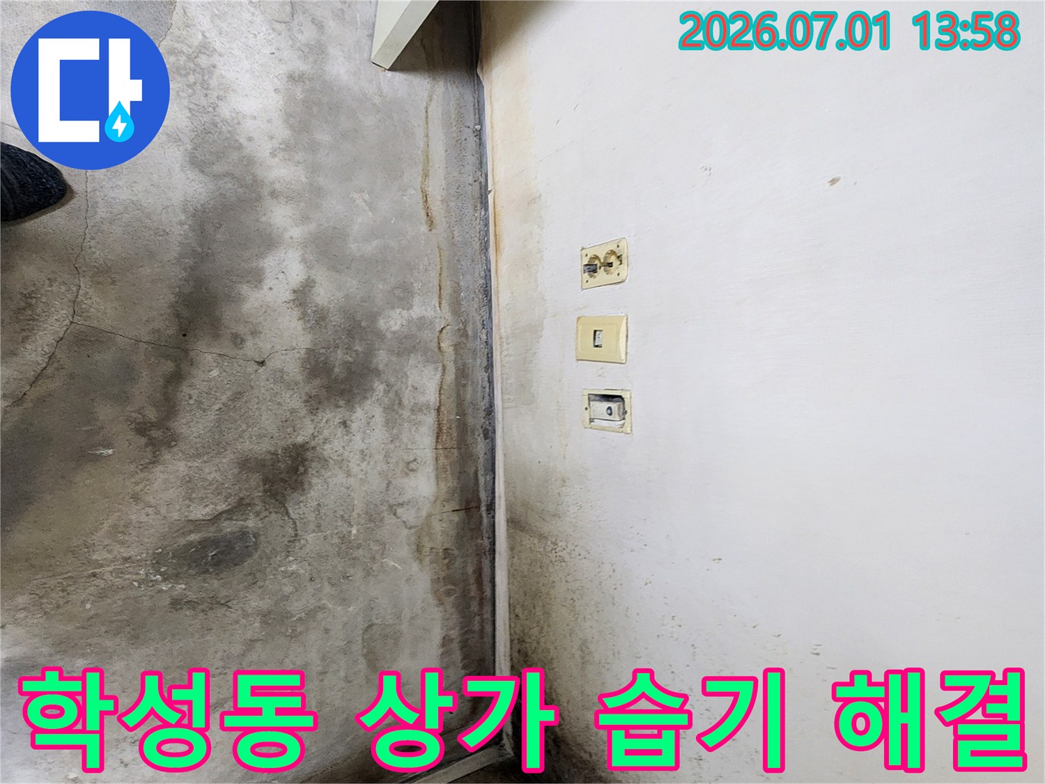 울산-학성동-상가-내부-벽면과-바닥에-누수로-인해-발생한-심각한-곰팡이와-오염-상태