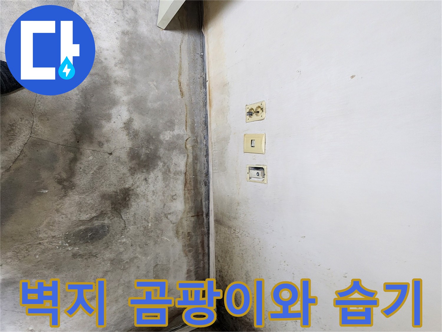 학성동 현장-벽면 하단부의 심한 습기와 곰팡이