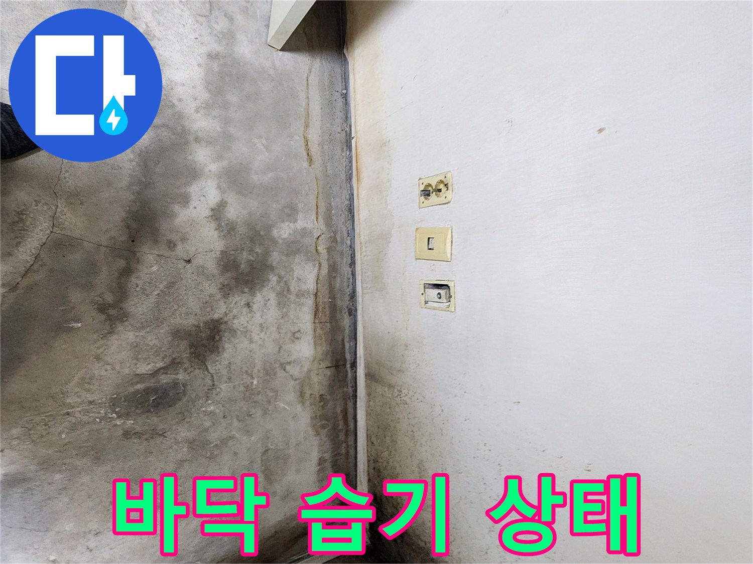 학성동 현장 사진-콘센트 주변 벽면의 습기 및 오염