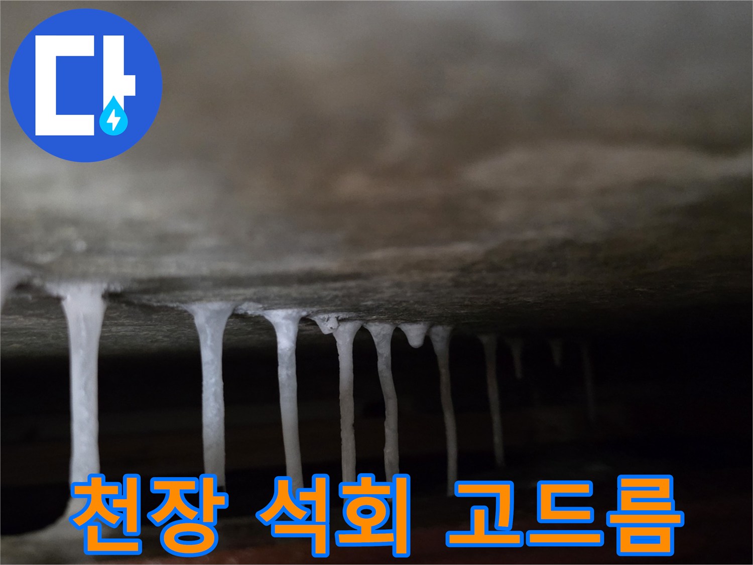 천장 내부에서 발견된 하얀색 석회물 고드럼 형태의 백화 현상