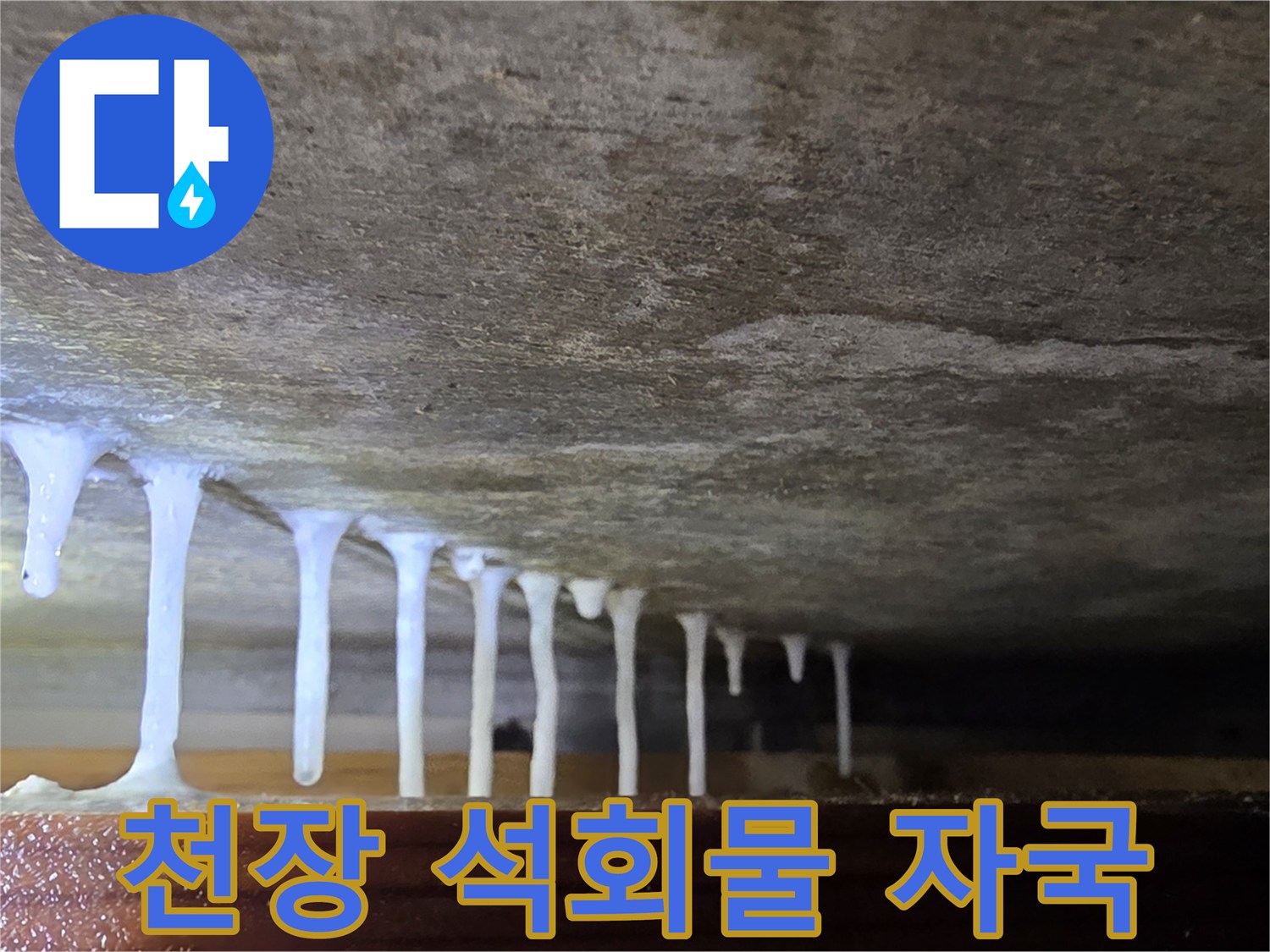천장 콘크리트 면에 맺힌 하얀색 석회 고드름