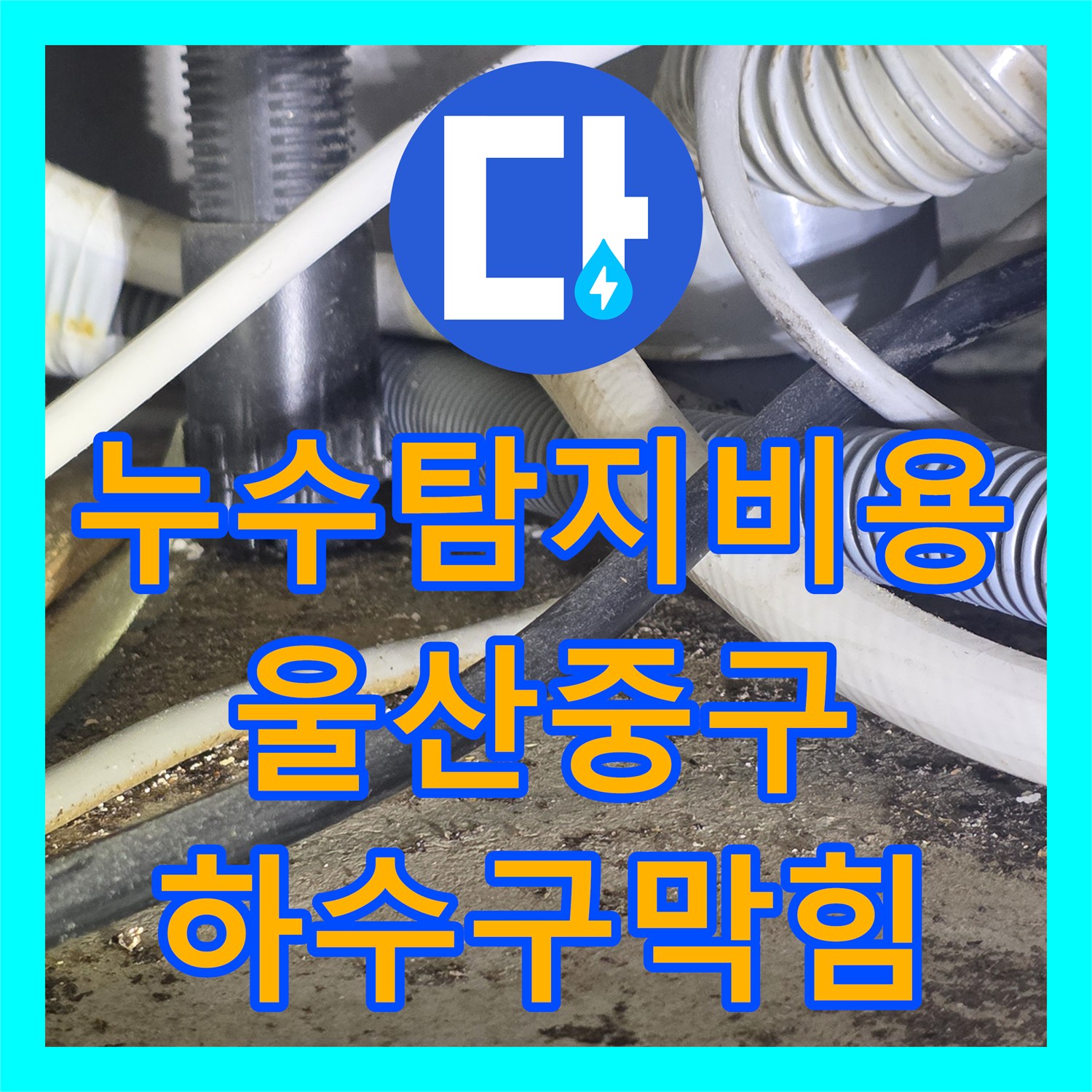 누수탐지비용 아끼는 정확한 진단 하수구 역류로 인한 천장 누수 울산광역시 중구 성안동