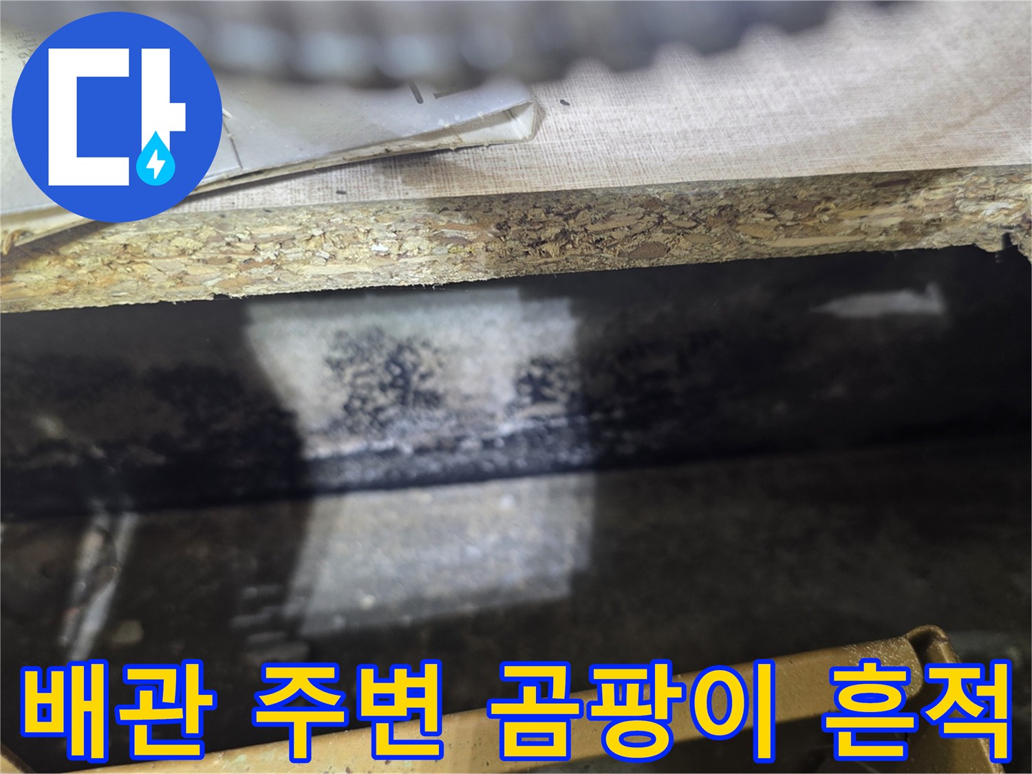 배관 주위에 발생한 검은색 곰팡이와 습기 자국