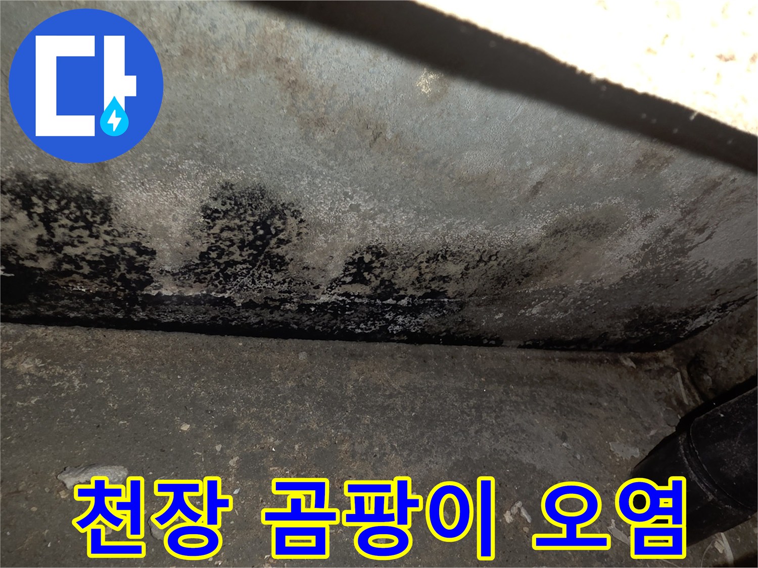 천장-벽면을-덮고있는-심각한-곰팡이와-습기-얼룩