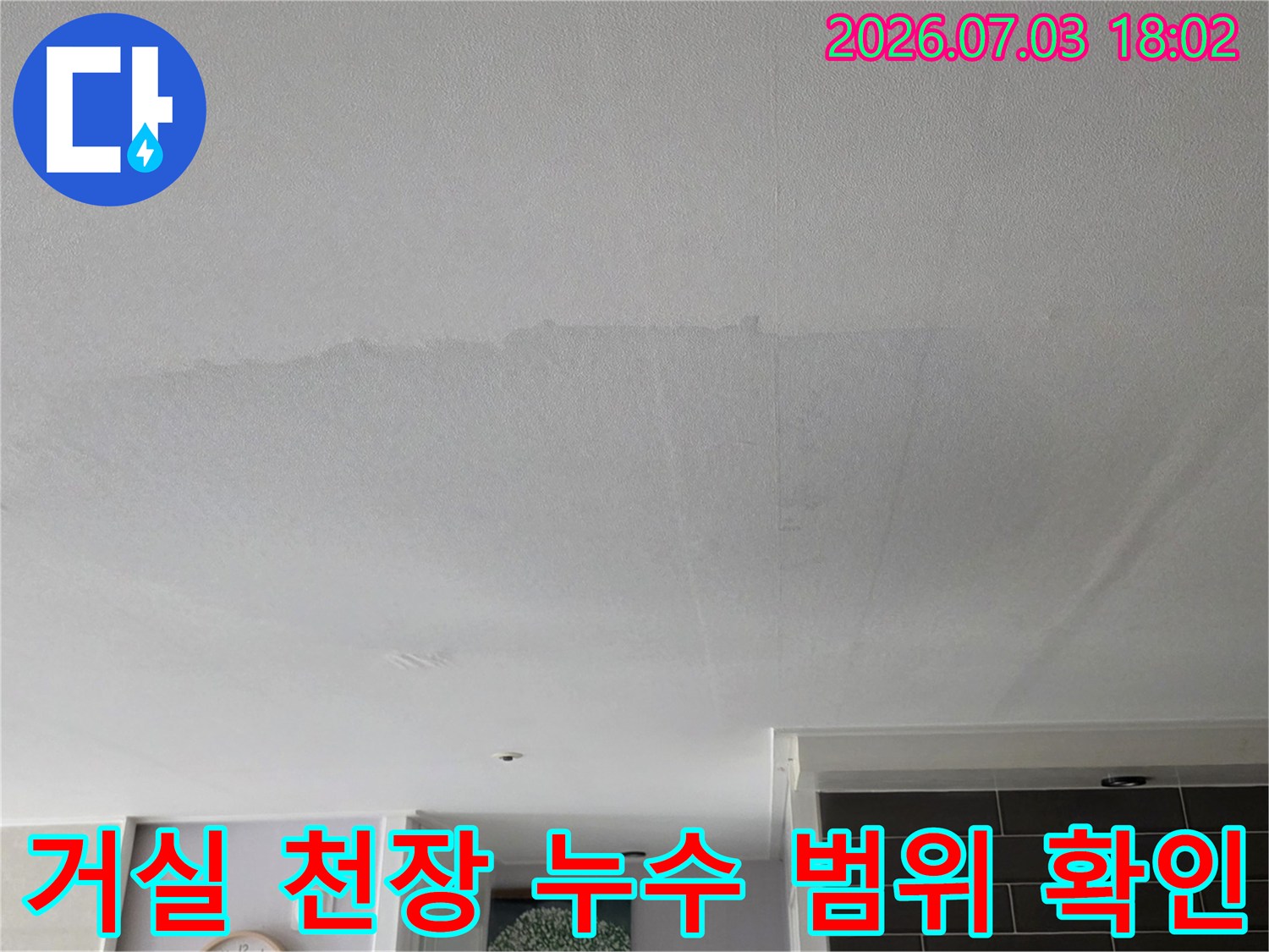 거실 천장에서 물이 새어 들어와 형성된 넓은 얼룩 구간