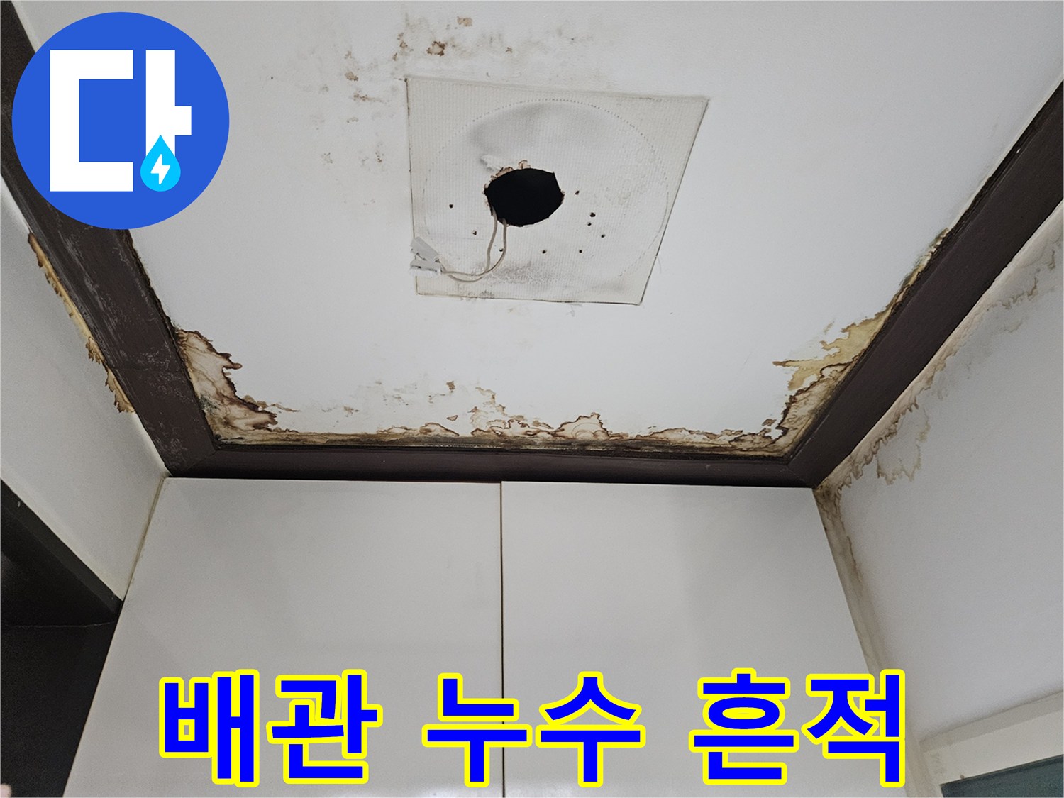 천장 마감재 테두리를 따라 발생한 젖은 자국과 변색된 부위