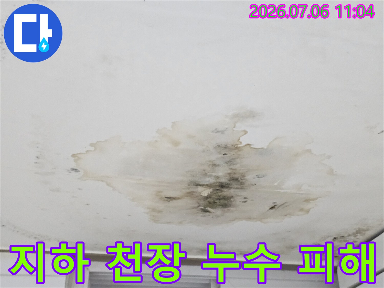 범위가 넓은 천장 누수 얼룩과 곰팡이 발생 부위