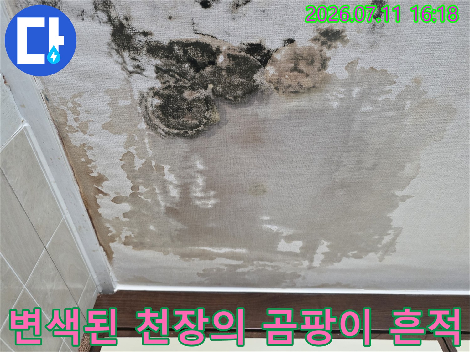 물샘 현상으로 인해 오염되고 곰팡이가 발생한 천장 부위