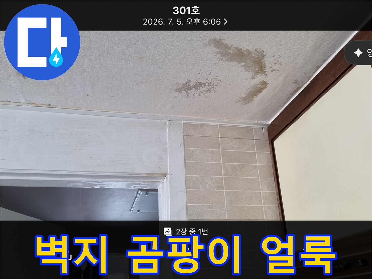 천장 벽지 - 물기 침투로 인한 곰팡이와 변색 부위