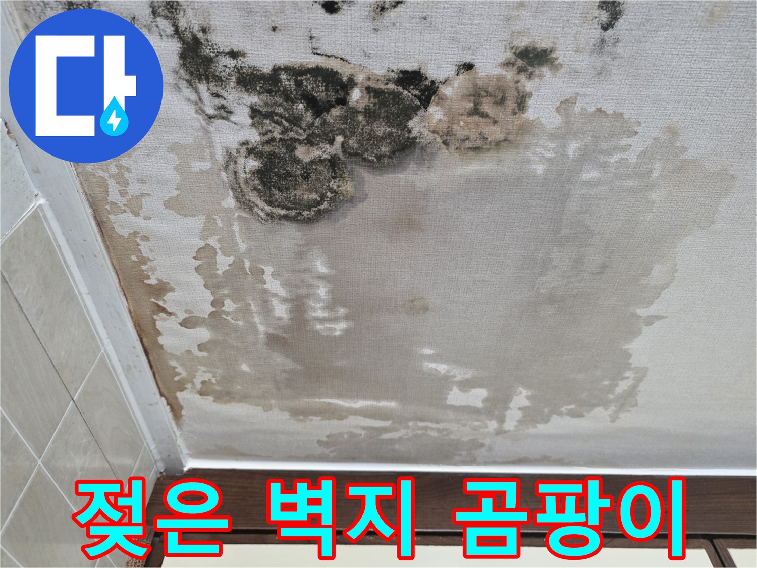 천장 벽지가 젖어 곰팡이가 번진 현장 사진