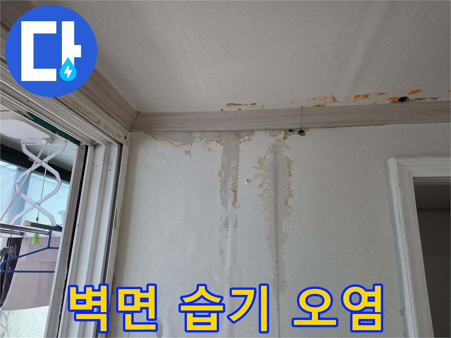 벽면 하단부부터 위쪽으로 번져 올라온 물자국과 얼룩입니다.