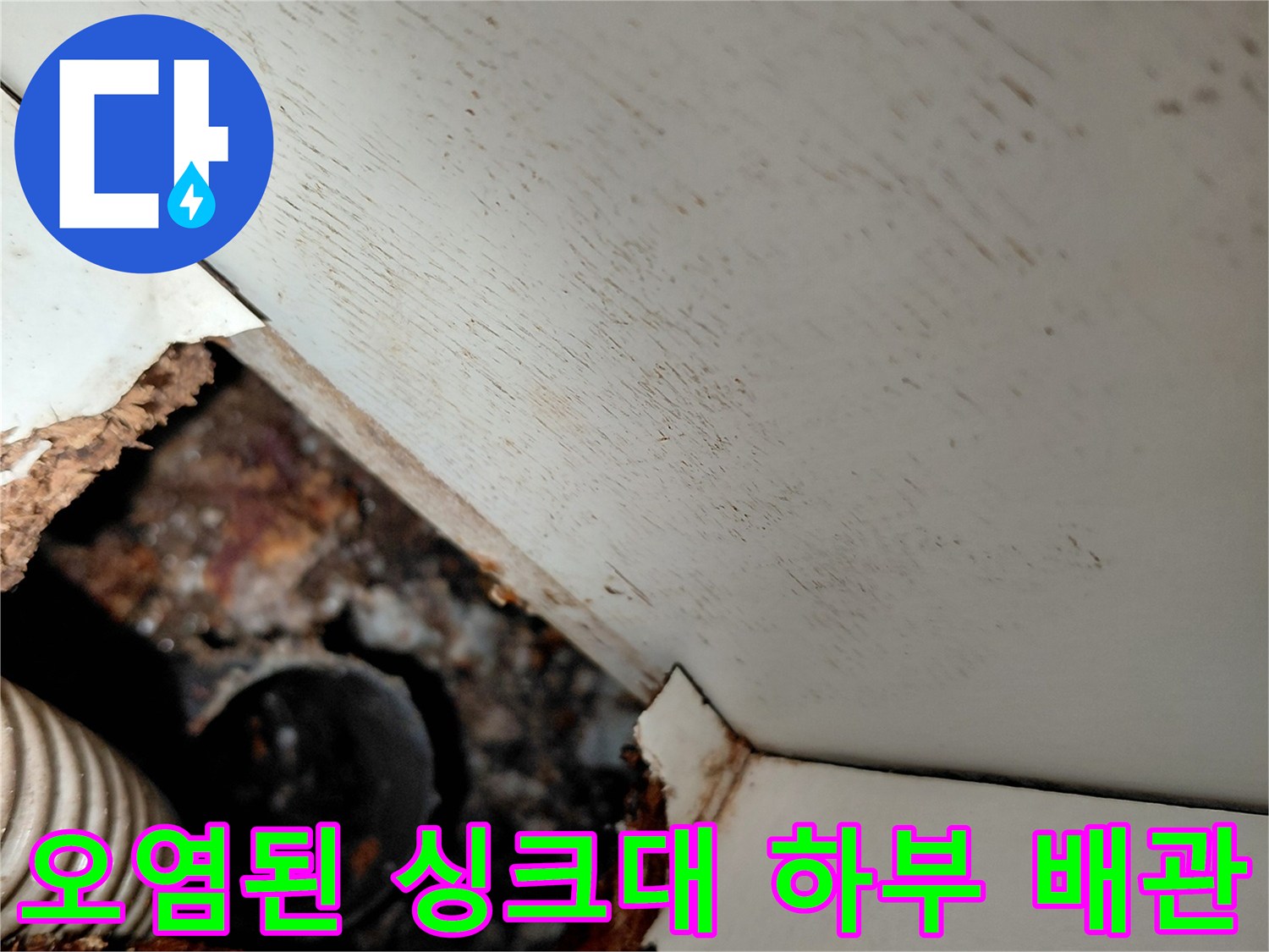 싱크대 하부 배관 주변의 오물 역류 및 오염 현장