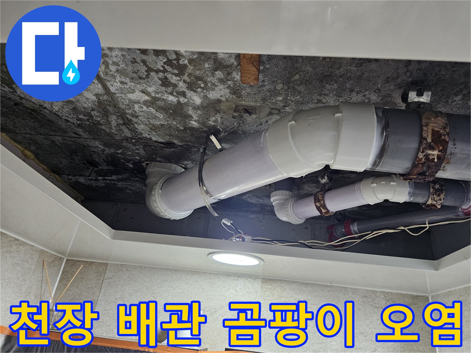 화장실-천장-내부-배관-주변의-곰팡이-오염