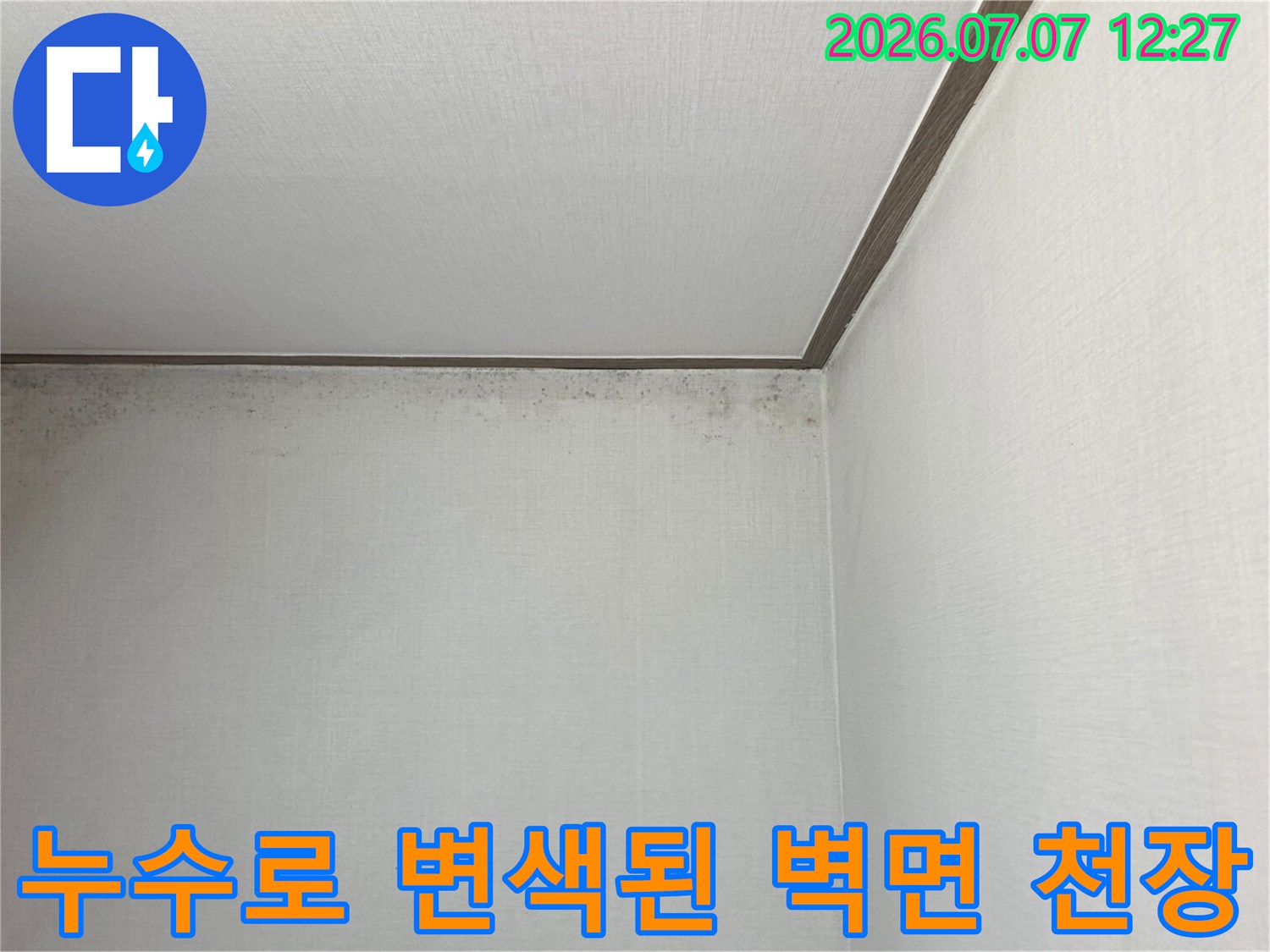 천장과 벽체가 만나는 모서리 부분의 곰팡이와 누수 얼룩