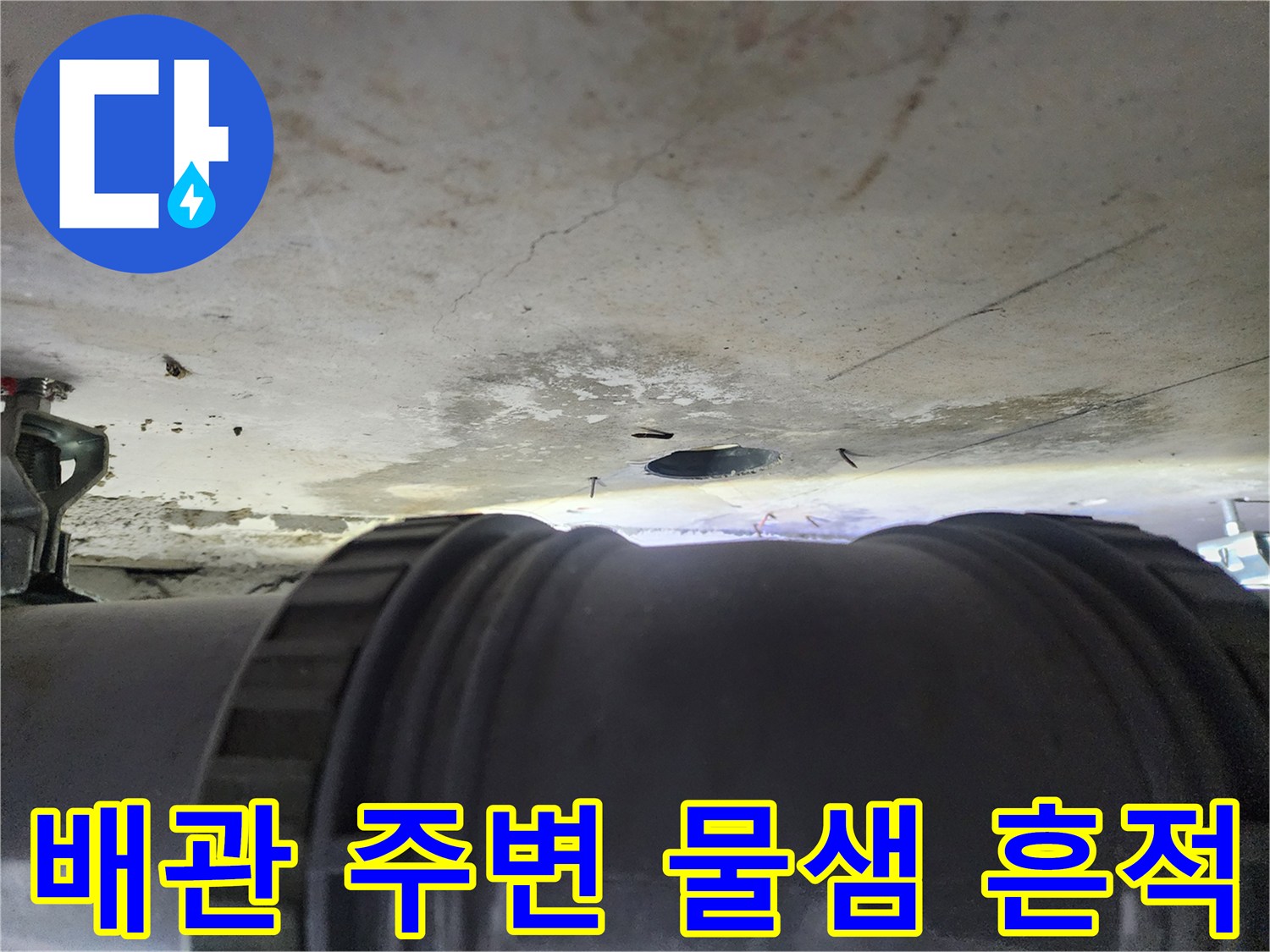 성북구 현장 내부 - 하수 배관 주변의 습기와 천장 얼룩