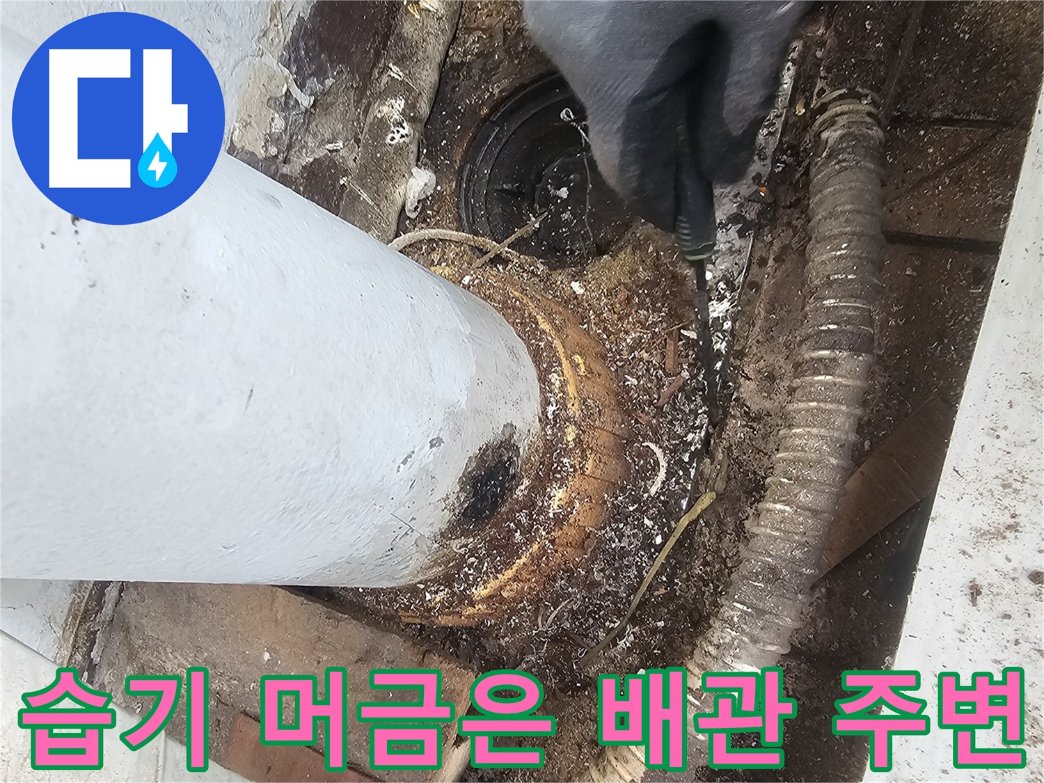 배수관 부근-물샘으로 인해 오염된 바닥과 파이프 상태