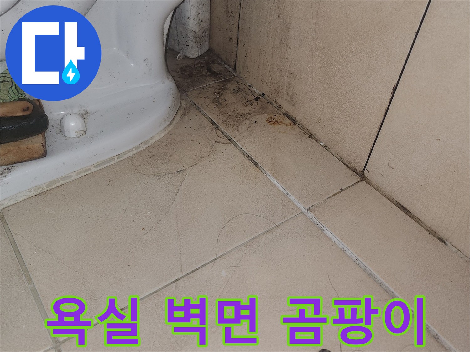 욕실 변기 주변 타일 틈새에 발생한 곰팡이와 습기 흔적