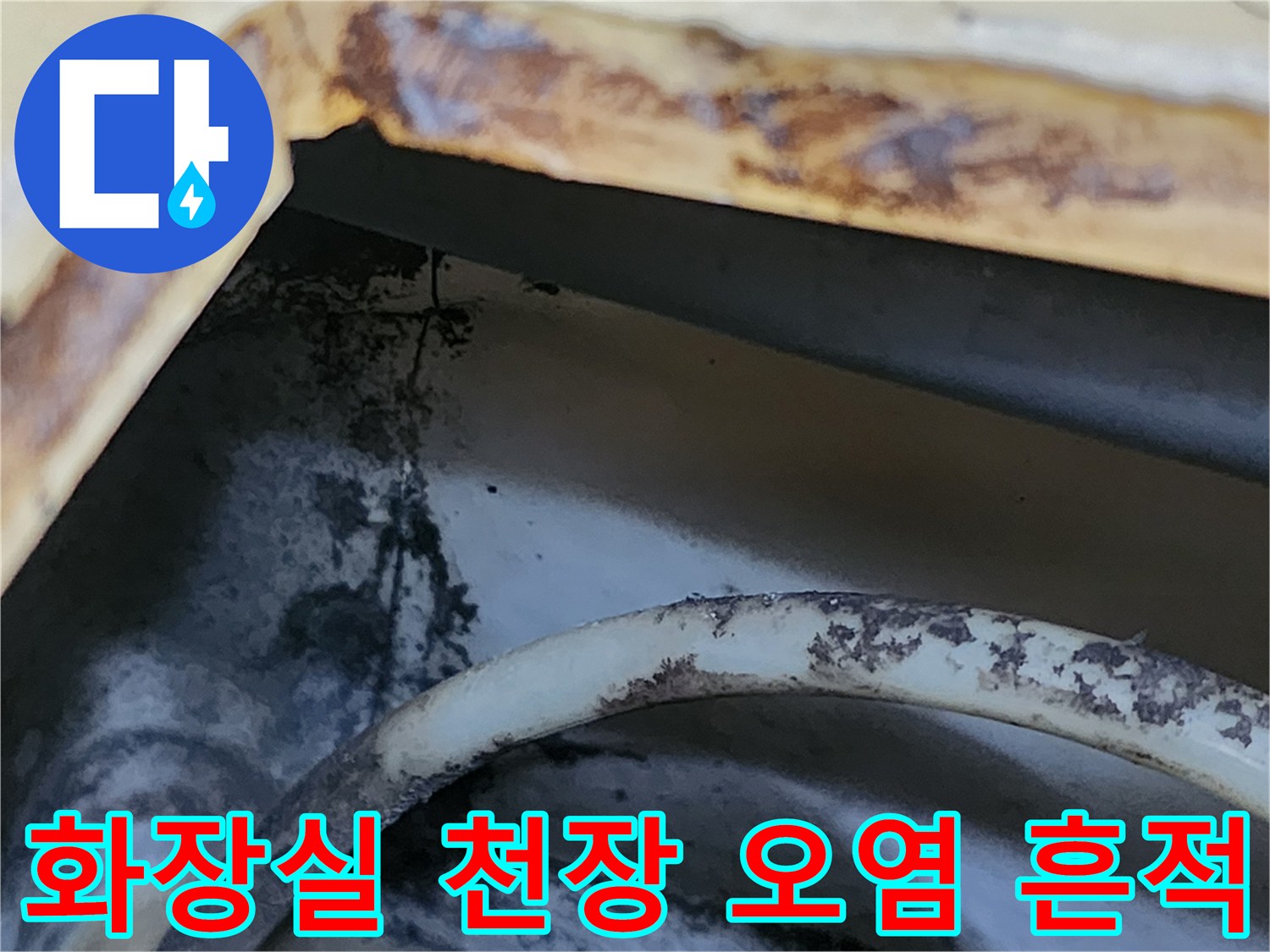 강남구 개포동-화장실 천장 패널에 발생한 갈색 물자국과 곰팡이 상태