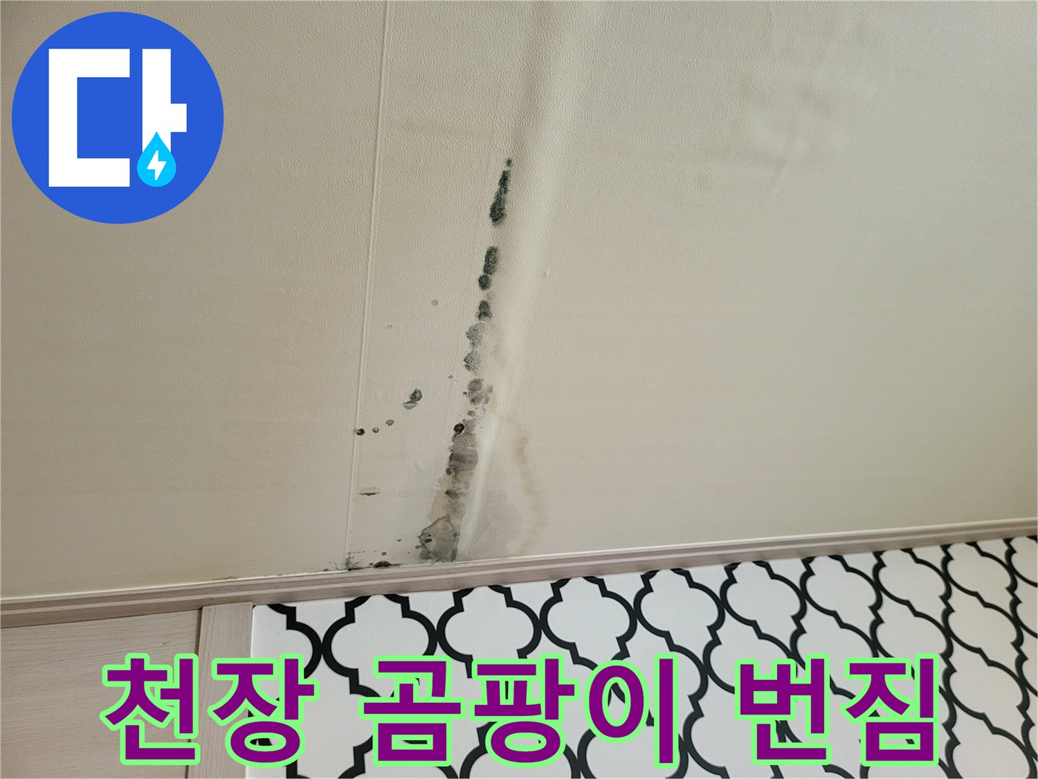 벽면을 타고 내려온 곰팡이와 물자국 패턴