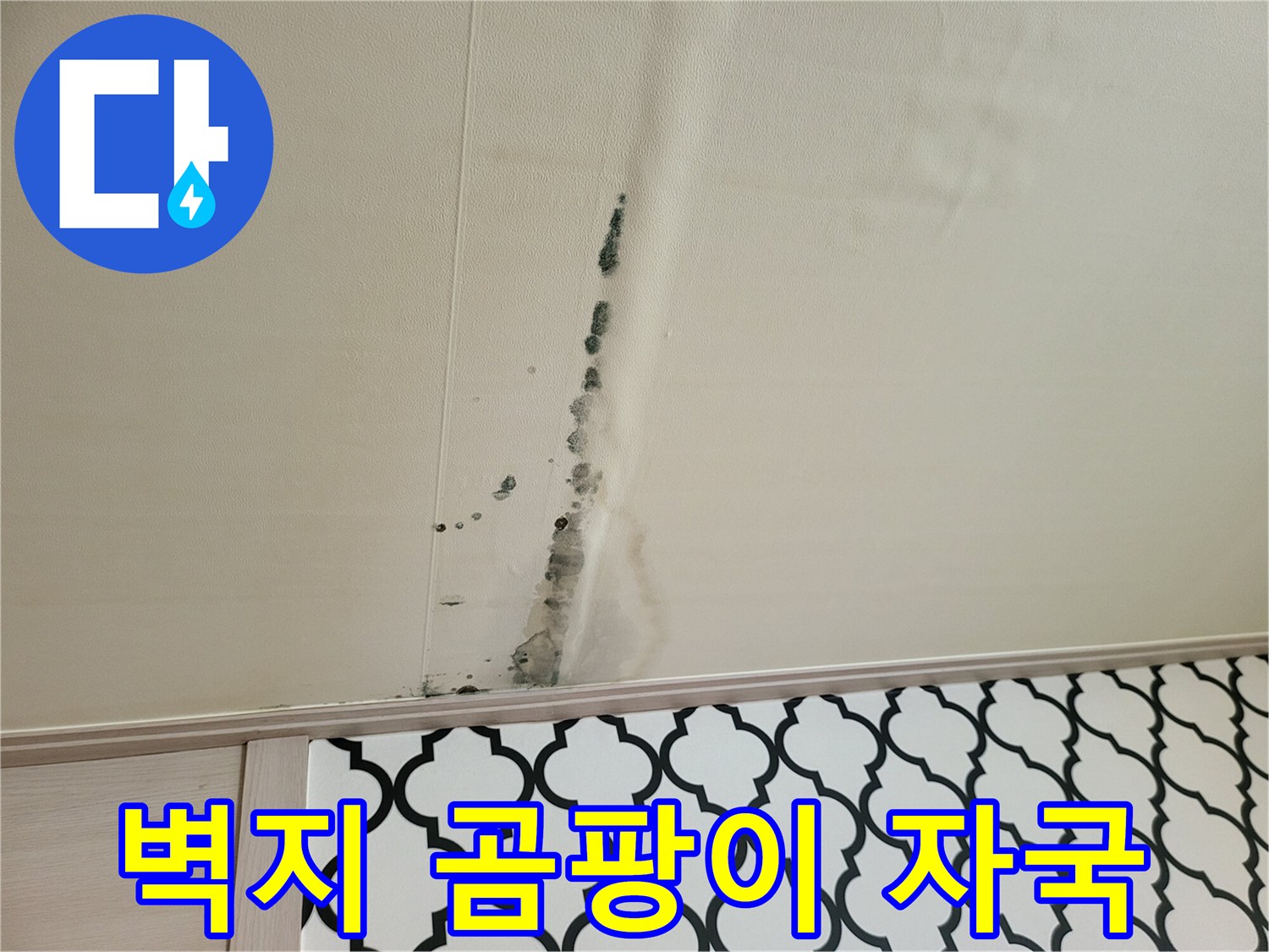 천장 벽면을 따라 발생한 검은색 곰팡이 얼룩