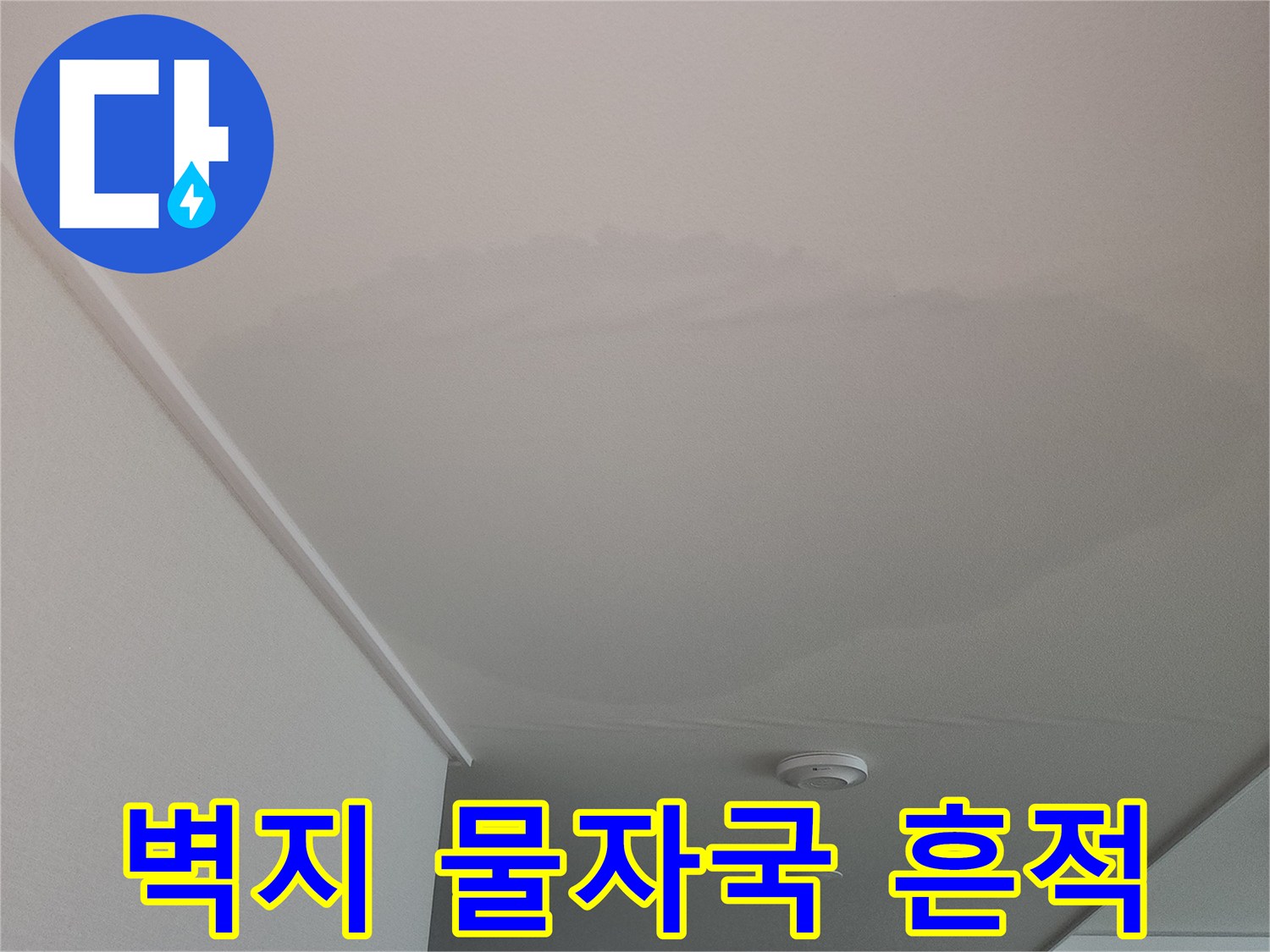 고양시 덕양구 아파트 내부 벽면의 누수 흔적과 얼룩 상태