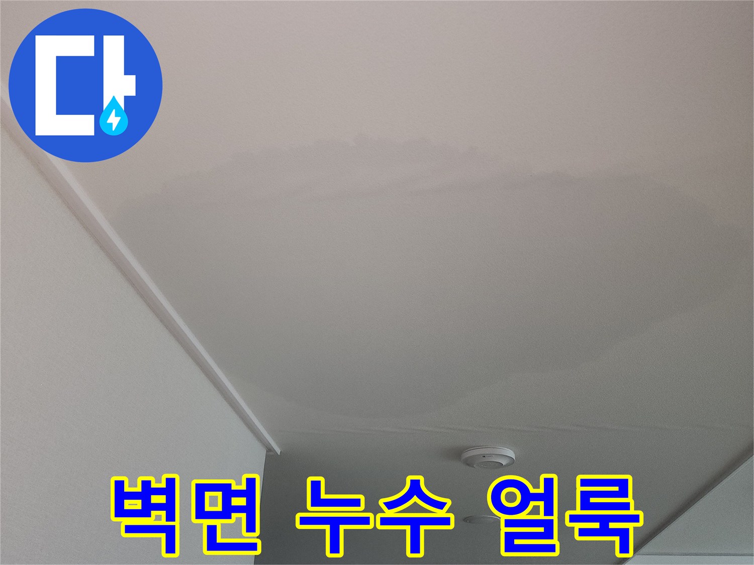 고양시-아파트-벽면에-발생한-습기-및-얼룩-현상