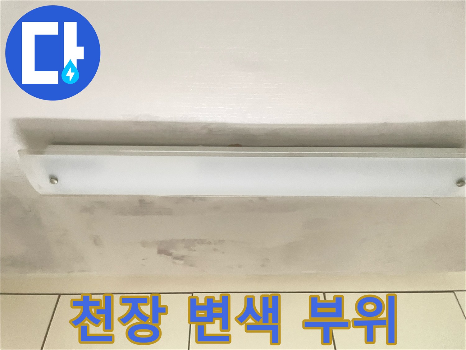 천장 조명 주변으로 번져 있는 누수 흔적과 젖은 마감재 상태