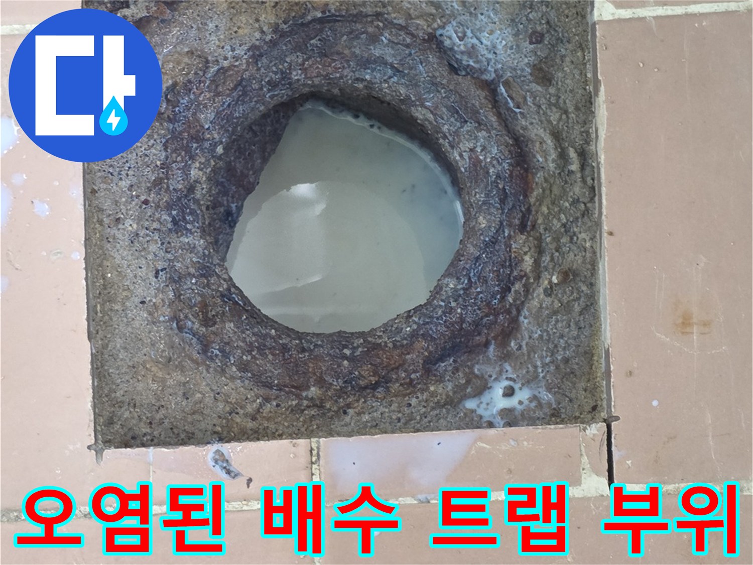사동리 아파트 하수도-부식과 오염이 진행된 배수구 내부