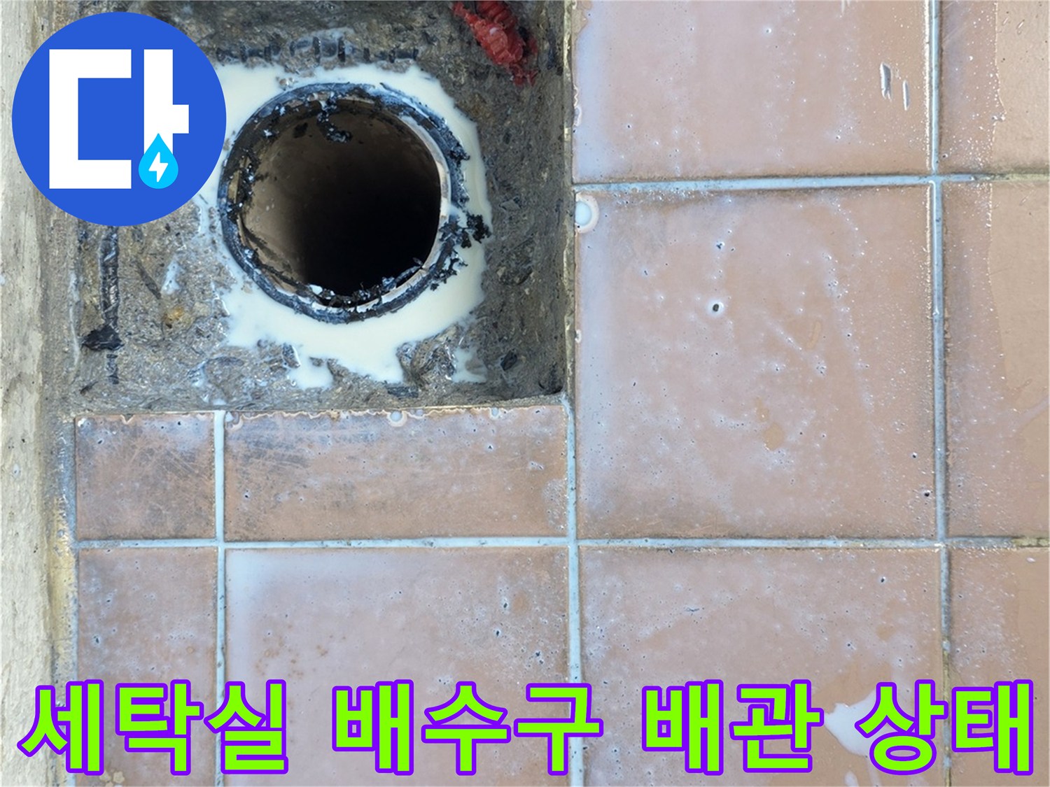 이천 사동리 세탁실-배수구 내부 배관 노후 상태 확인