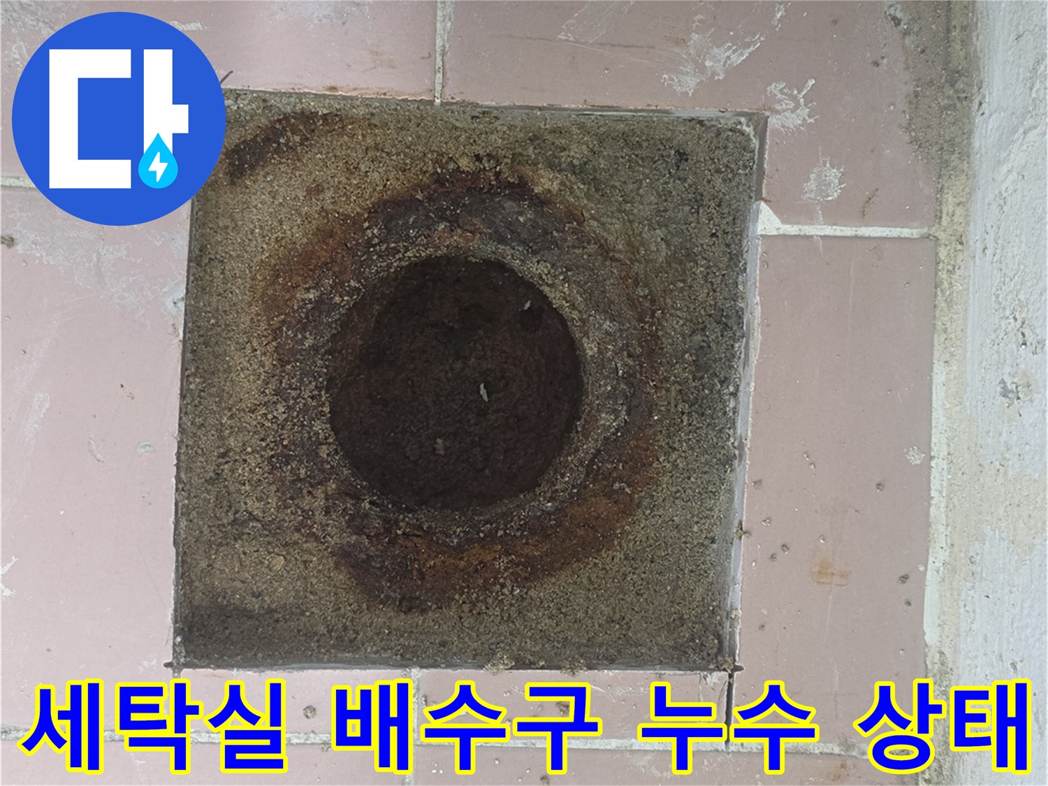 이천 사동리 세탁실-배수구 주변 타일 틈새로 물이 스며든 모습