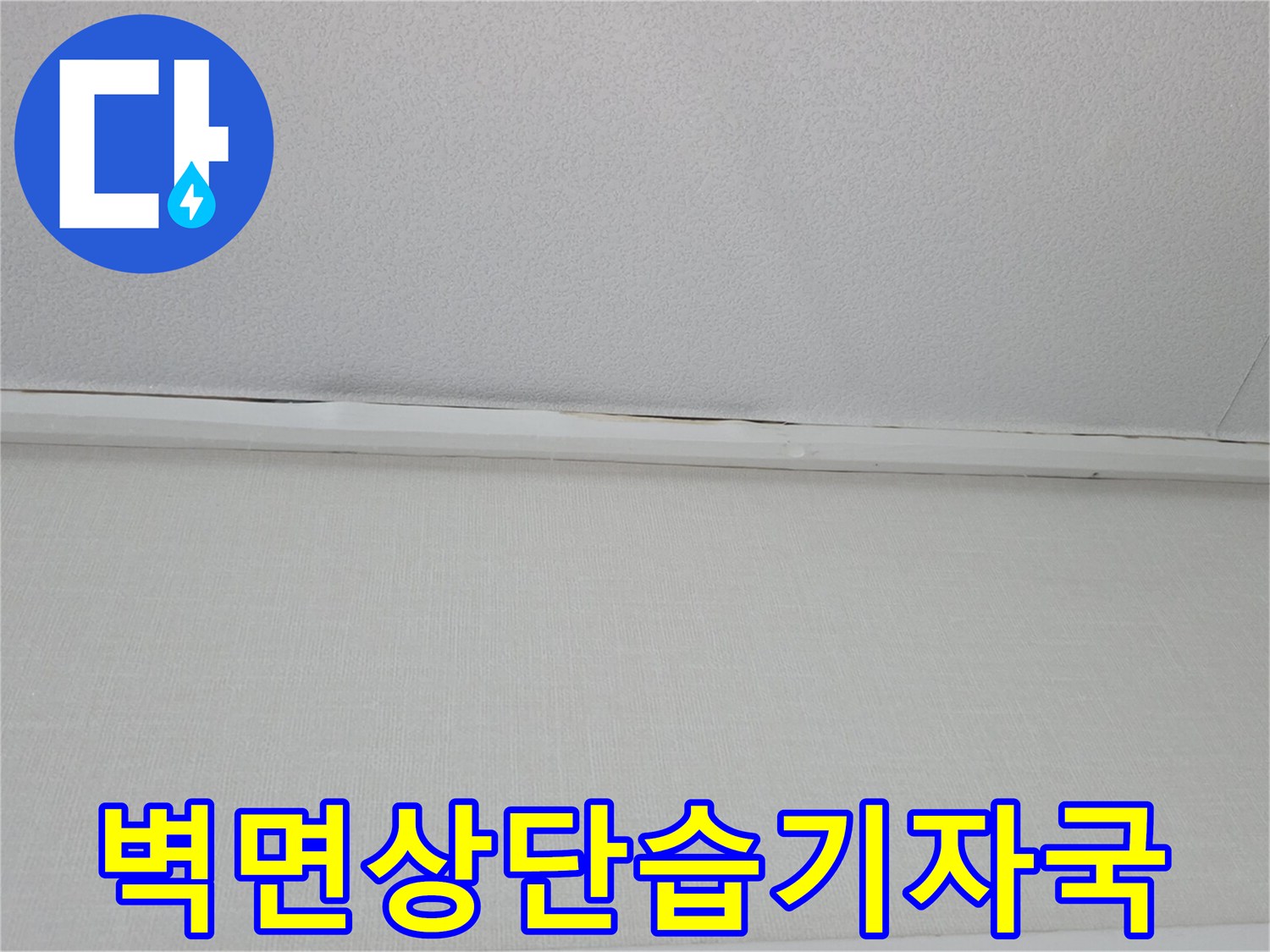 부천 소사동 현장-천장과 벽면이 만나는 지점의 습기 흔적 조사
