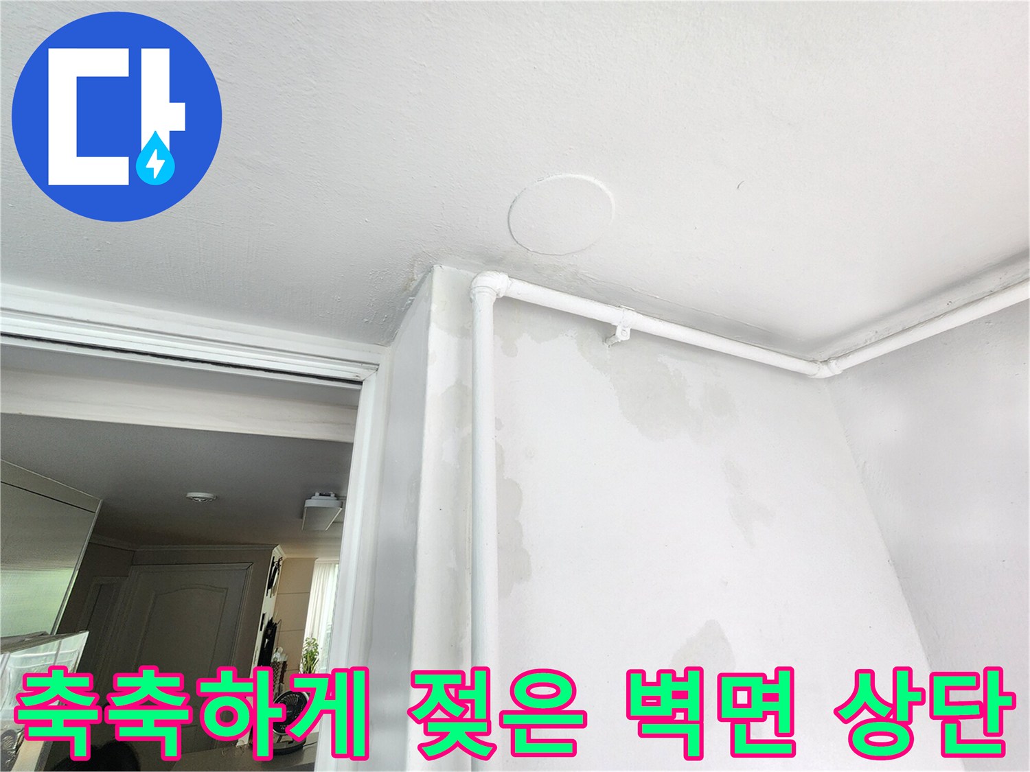 분당 현장 - 천장과 벽이 만나는 지점의 습기 오염