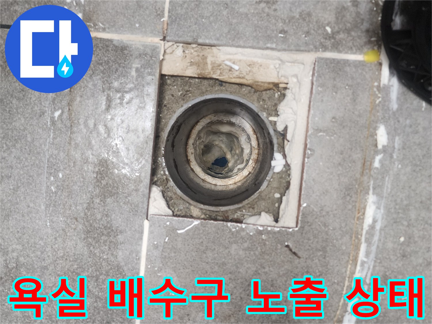 분당 현장의 노출된 배수구와 타일 틈새 모습입니다.