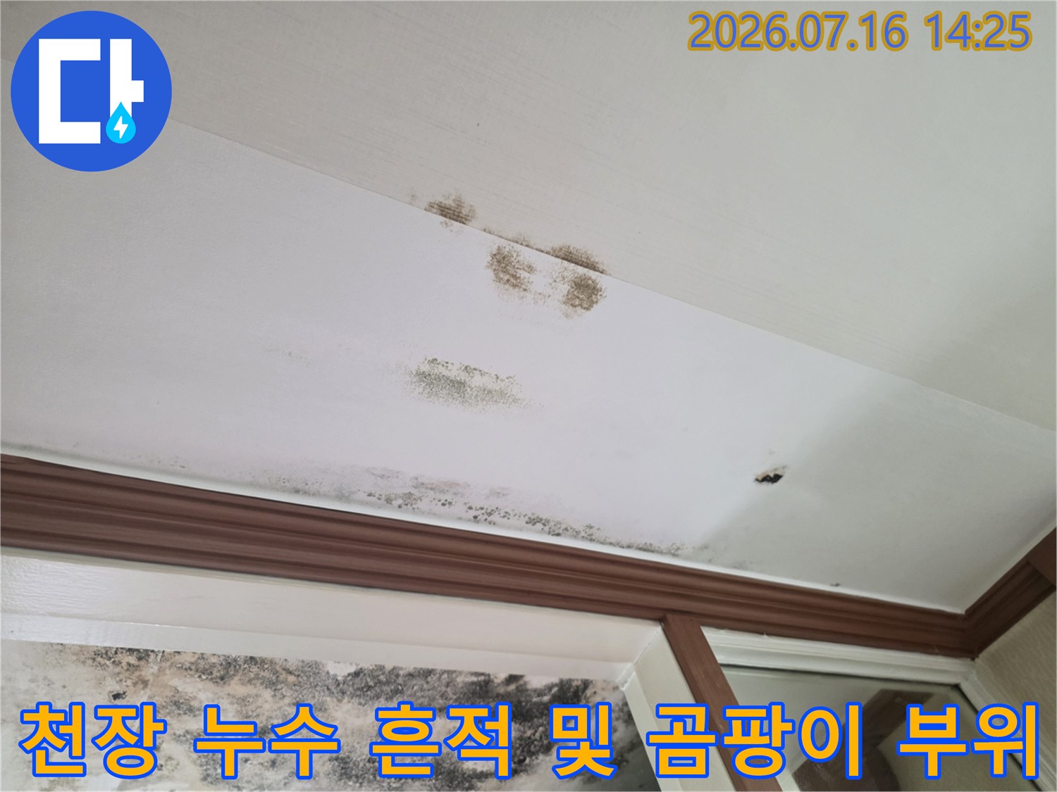 벽면 누수로 인한 얼룩과 곰팡이가 번진 천장 모습