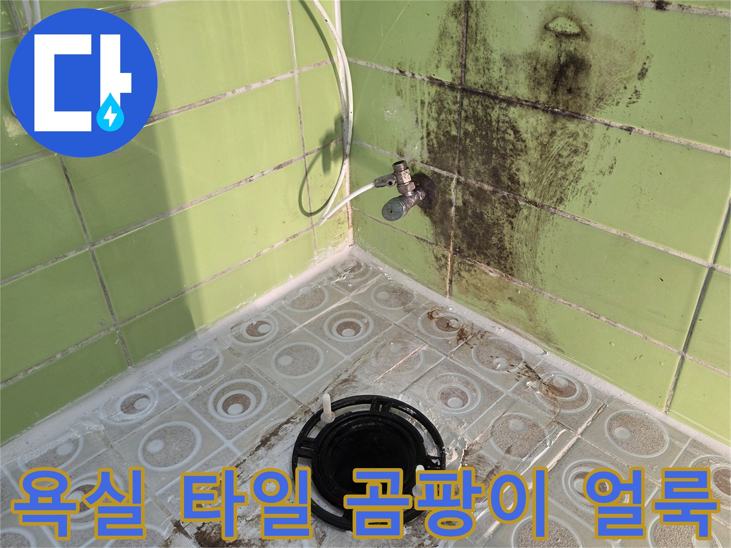 구리시 욕실-타일 사이 검은 곰팡이와 물샘 흔적 사진