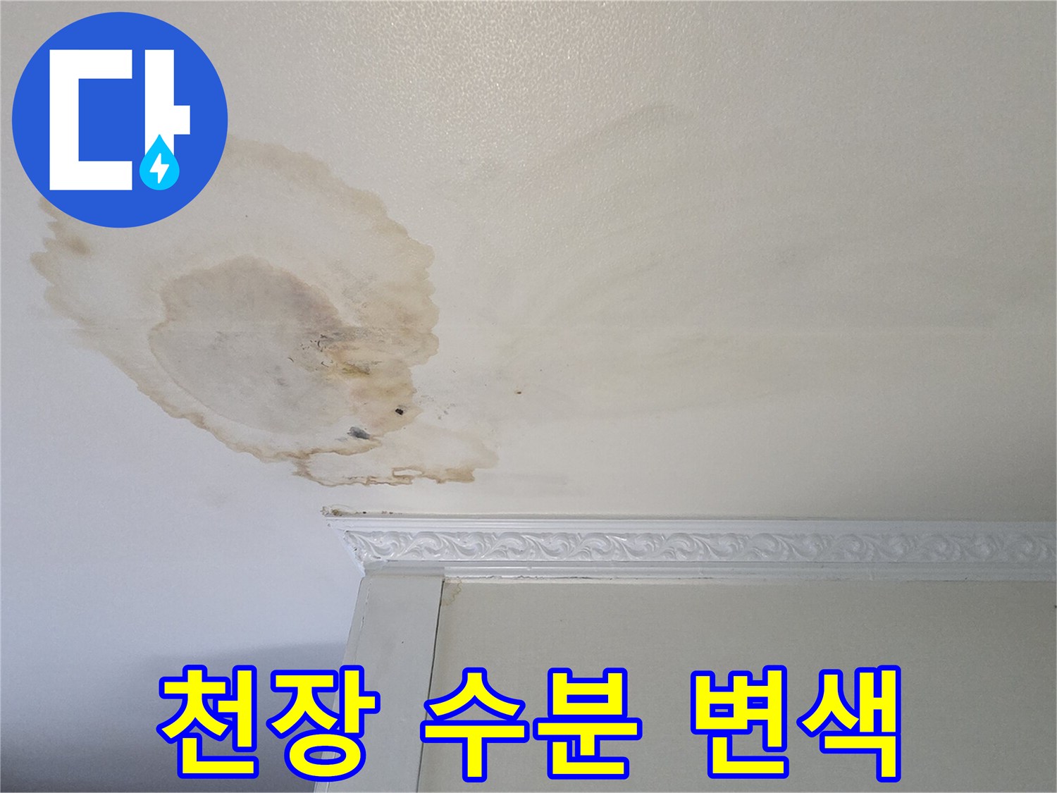 물에 젖어 짙게 변한 천장 도배지 부위