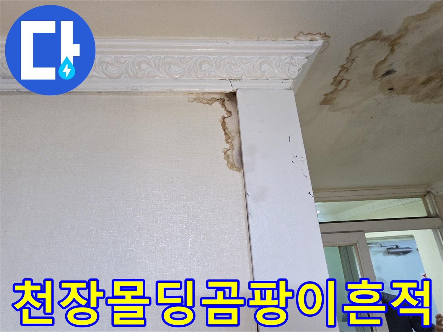 천장-몰딩-주변의-젖은-벽지-및-곰팡이-발생-상태