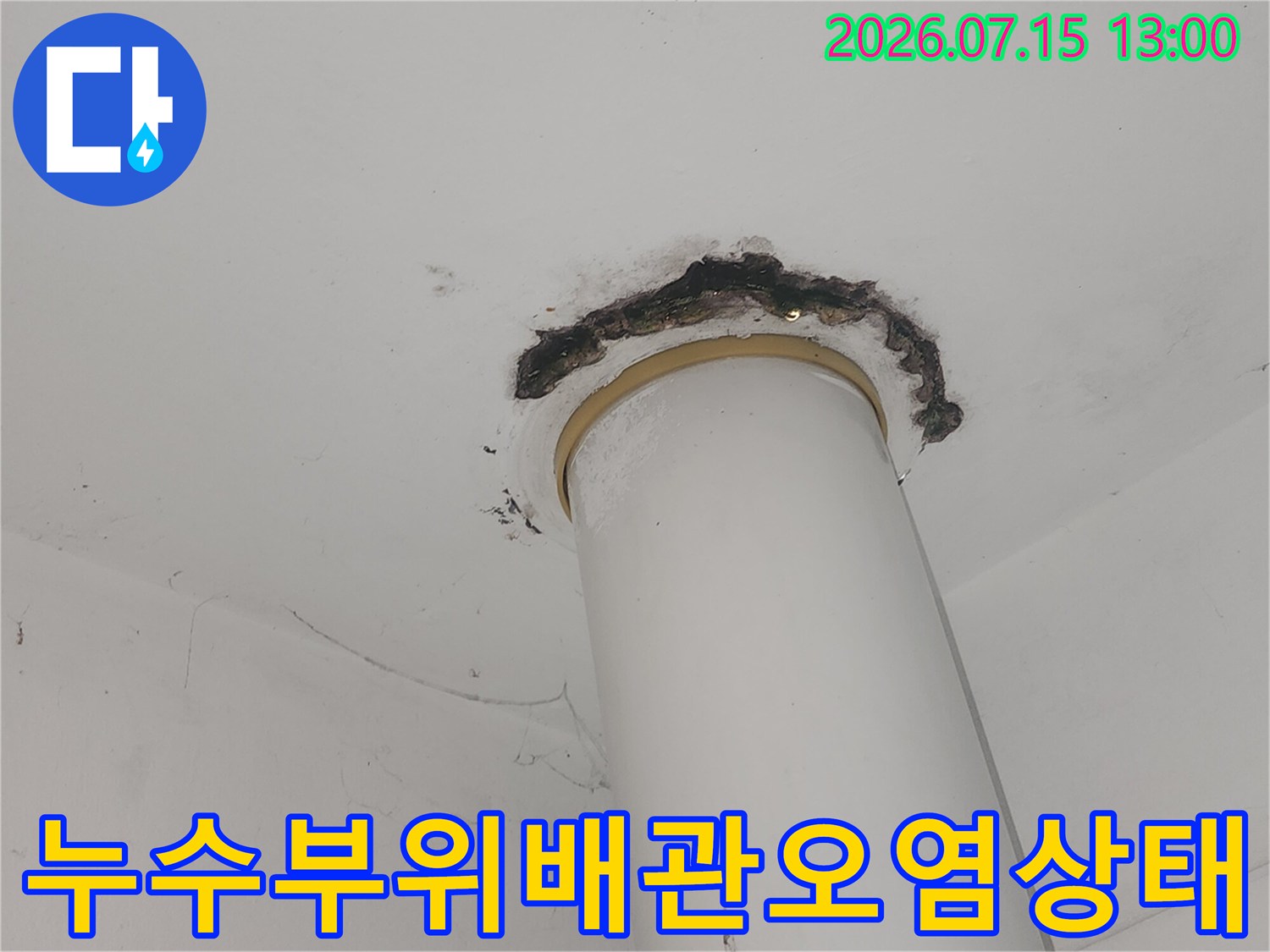 곰팡이와 오염으로 변색된 천장 배관 주변부