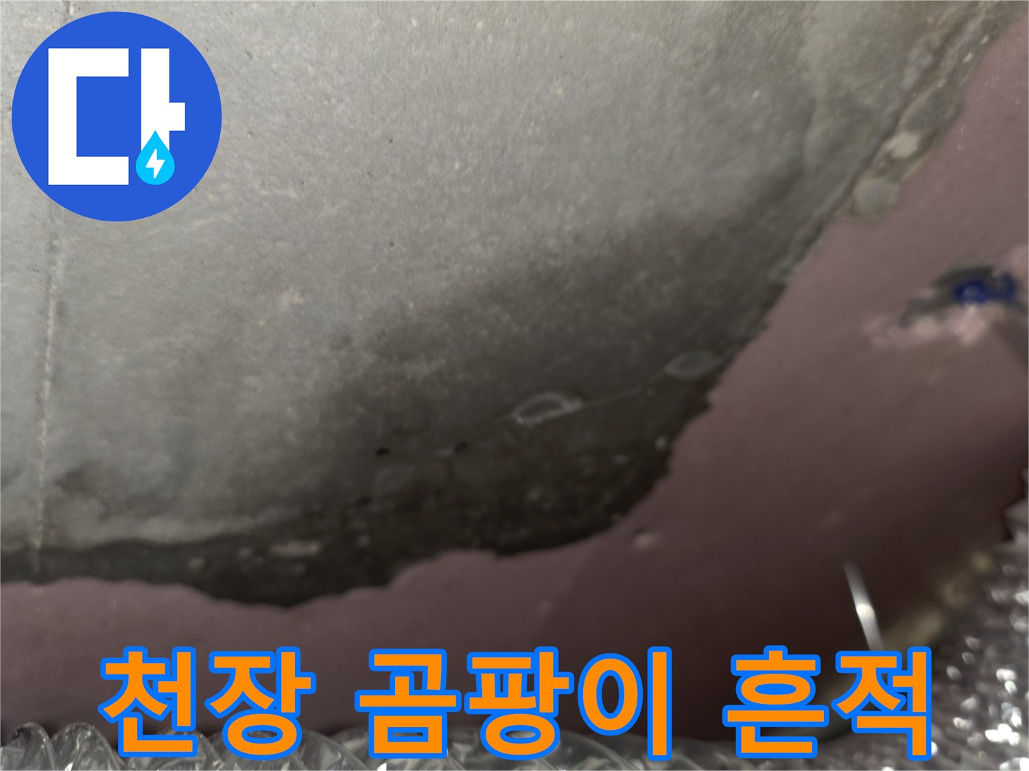 습기에-젖은-천장-단열재와-곰팡이-흔적