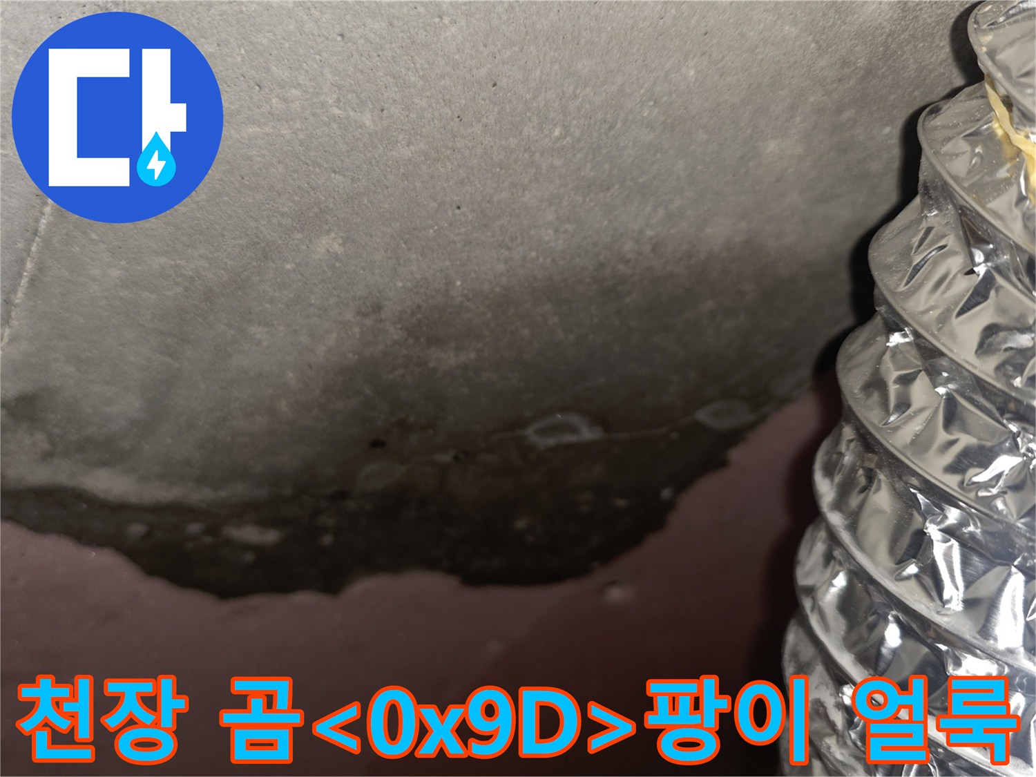 아파트 천장-슬라브 부위-습기로 인한 검은 곰팡이와 얼룩