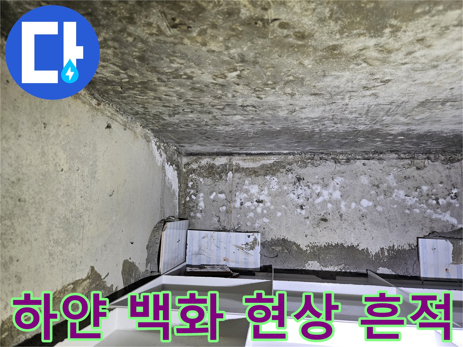 물샘으로 인해 하얗게 변한 천장 콘크리트의 백화 부위