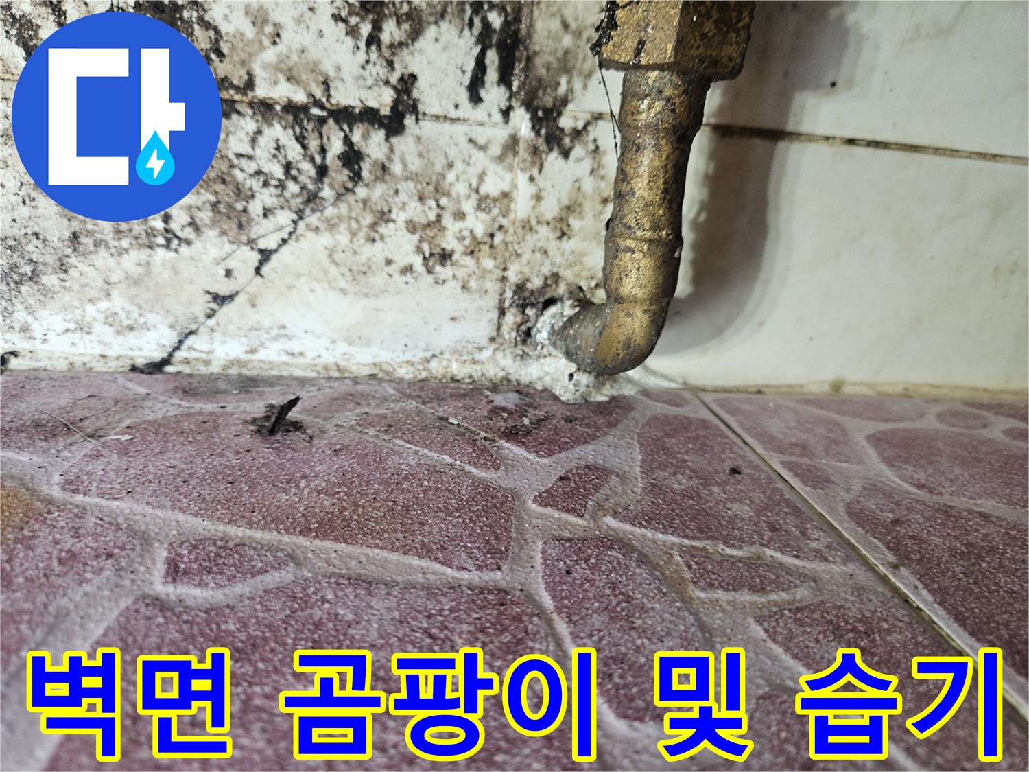 도봉구 작업 현장 - 하수 배관 주변의 심한 곰팡이와 물샘 흔적