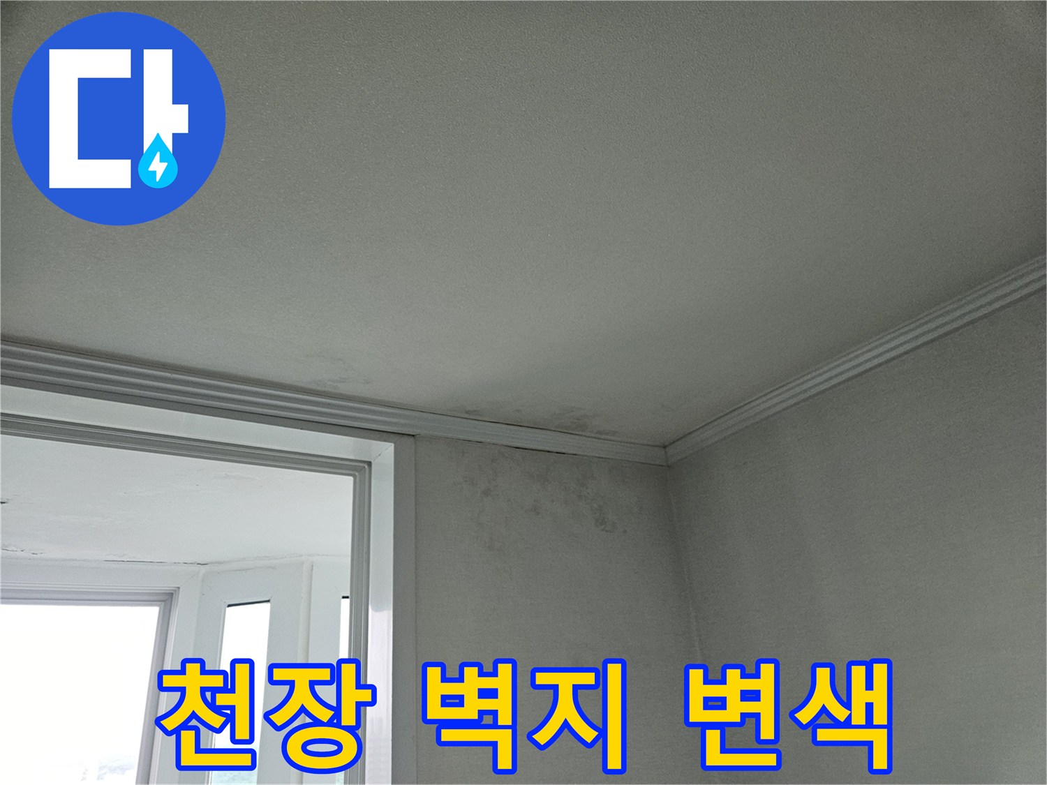 물기가 스며들어 어둡게 변한 천장 몰딩과 벽면 사진