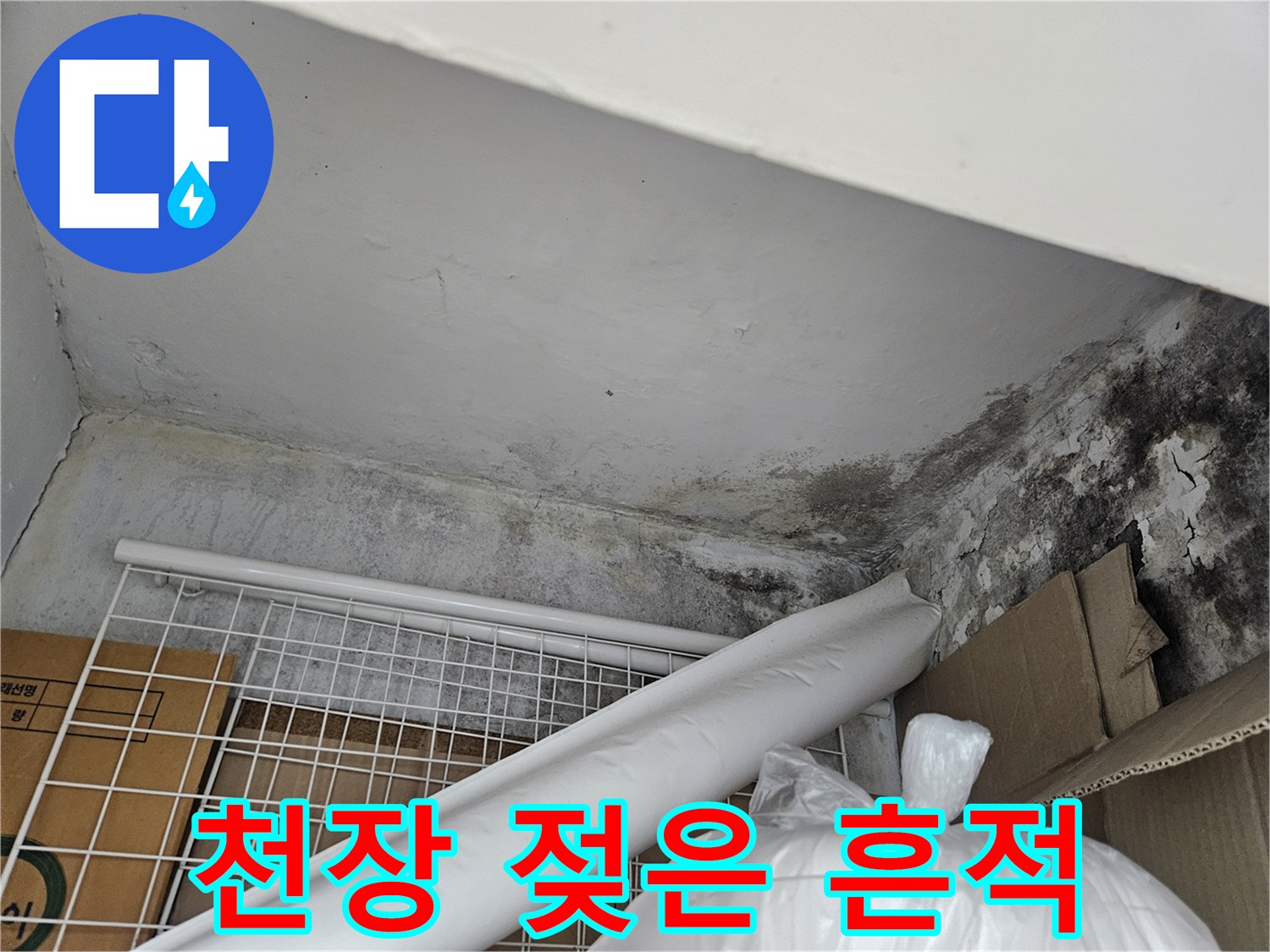 습기 머금은 천장-곰팡이와 물자국이 남은 벽면 부위